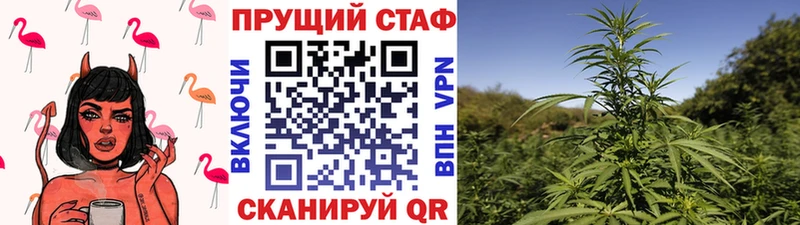 Бошки Шишки Старица